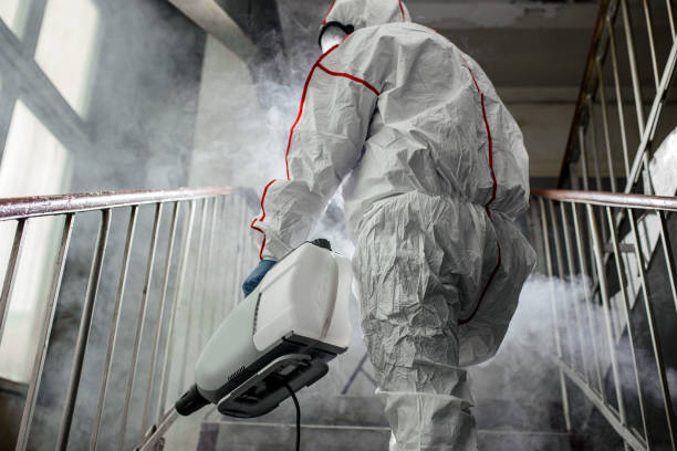 Environmental Consulting for Mold Prevention in Canadian, TX